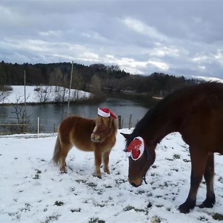 Beim Appertinger * Truchtlaching