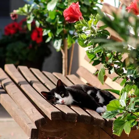 Çiftlik konaklama Beim Appertinger